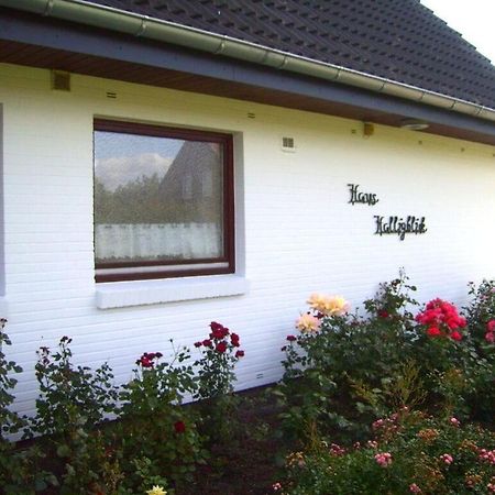 Hooge In The Haus Halligblick Dagebüll Екстериор снимка